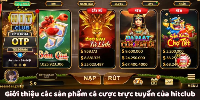 cá cược trực tuyến hitclub